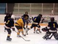 Lake Linden Lions part 2
