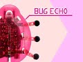 Hex Bug