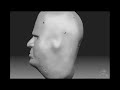 ZBrush 3D self-portrait tutorial by Marcos Maia (part 1)