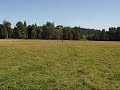Video clips of Valerie with her fantasic four year old Border Collie Fionn.  It is amazing to think after seeing this video that Valerie and Fionn just started herding at Fido's a little over a year ago.