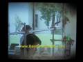 videos de Get Healthy . . . Feel Great!