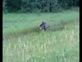 4 Wheelin Fun
