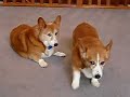 Maggie and Charlie touching each other