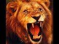 The kraziest lion ever feat. sean paul The kraziest lion ever feat. sean paul