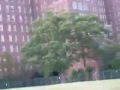 videos de building 93 kppc long island