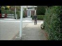 videos de JULES, NIEK & NINI first movie