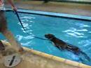 Kody Swimming Kody Swimming
