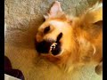 Testing my Nokia E70