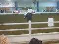 Robin Belfield & Lucky @ Kirkwood - 16.1