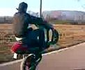 diber
