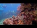 After the storm: Koh Tao