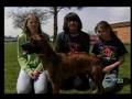 Pat Colangeli's Circleville High School Class on ABC News