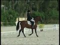 Victor Alvarez Pou montando a Cava Nefydd Buccaneer  06