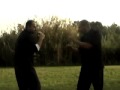 Xing-Yi Kung fu Eran Gurner  Earth element applications