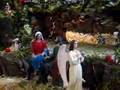 PEREGRINOS SAN PIO X EL TERRERO NAMIQUIPA
