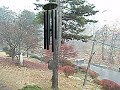 first snow at korean jesuit novitiate