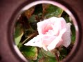 sin y con super macro