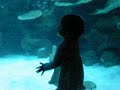 Nurin Iman Di Aquaria KLCC