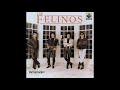 los felinos morena.wmv