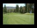 Salmon Arm Back 9