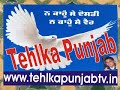 Damri Shoba Yatra.flv
