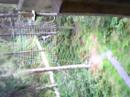 Go Ape Aberfoyle
