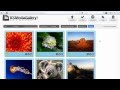 Joomla! Image Gallery - RS Media Gallery! - Introduction