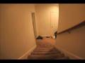 videos de StopMotionSmall.mov