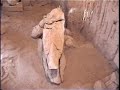 Museo de Barro - Ocucaje