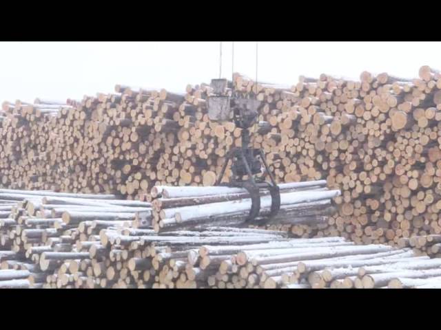 «Сокольский деревообрабатывающий комбинат»