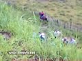 ACIDENTE DE TRÁFICO ENTRE ITORORÓ E ITAPETINGA