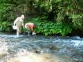 videos de Chatel 2008 part 2