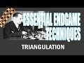 Chess Endgame Study: Triangulation