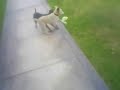 Fidel y Caribolsa 4