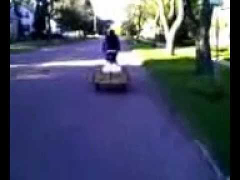 how to collect acorns