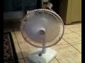 Ventilador KKKKK