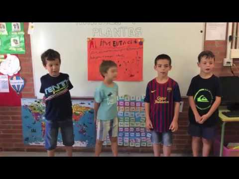 Imatge de previsualització de YouTube
