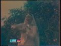 Anjuman-Noor Jeha- Dil Karay Sharartan Pakistani Song