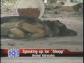 Corpus Christi Shepp Chain Off Interview with Thayne and Crider