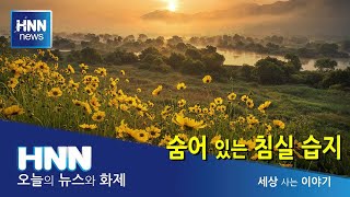 숨어 있는 침실 습지 / 세상 사는 이야기