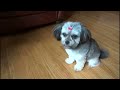 CUTE VERONA SWEET FUZZY CUTENESS
