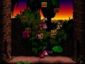 Donkey Kong Country {Team Play} World 3 Part 2
