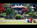 A Day In The Park Shinjuku [adult swim] fan bump