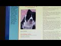 SCREENWORLDTV -DOGSTER SCREENWORLDTV -DOGSTER