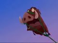 Timón y pumba :no podemos dejar que hagan lo suyo hoy Timón y pumba :no podemos dejar que hagan lo suyo hoy