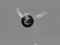 juilliard dance ensemble en lima
