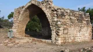 عين صور وقرية أم العلق المهجرة قرى مهجرة في الكرمل قضاء حيفا