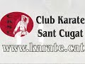 Yakusoku Bunkai Kumite del Gekisaidai San