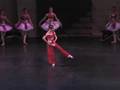 La Bayadere: Nikiya's Death