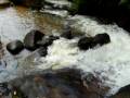 videos de Cachoeira em Bom Jesus dos Perdões